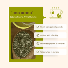 Load image into Gallery viewer, Rivina Humilus herbal tea for fibroids, pcos, infertility, painful period remedy untainted bath and body care