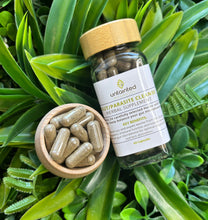 Load image into Gallery viewer, Parasite cleanse